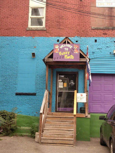 Fuzzy Pants Pet Stop, 2 Seward St, Worcester, MA 01604, USA, 