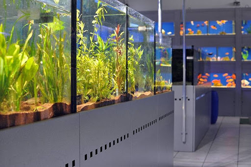 Zoo Riedle GmbH unter Konstanz, 