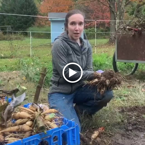 Florist «The Flower Room», reviews and photos, 474 Central Ave, Dover, NH 03820, USA