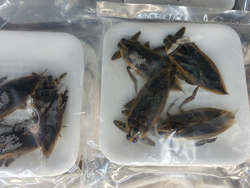 Asian Grocery Store «Mekong Rainier», reviews and photos, 3400 Rainier Ave S, Seattle, WA 98144, USA