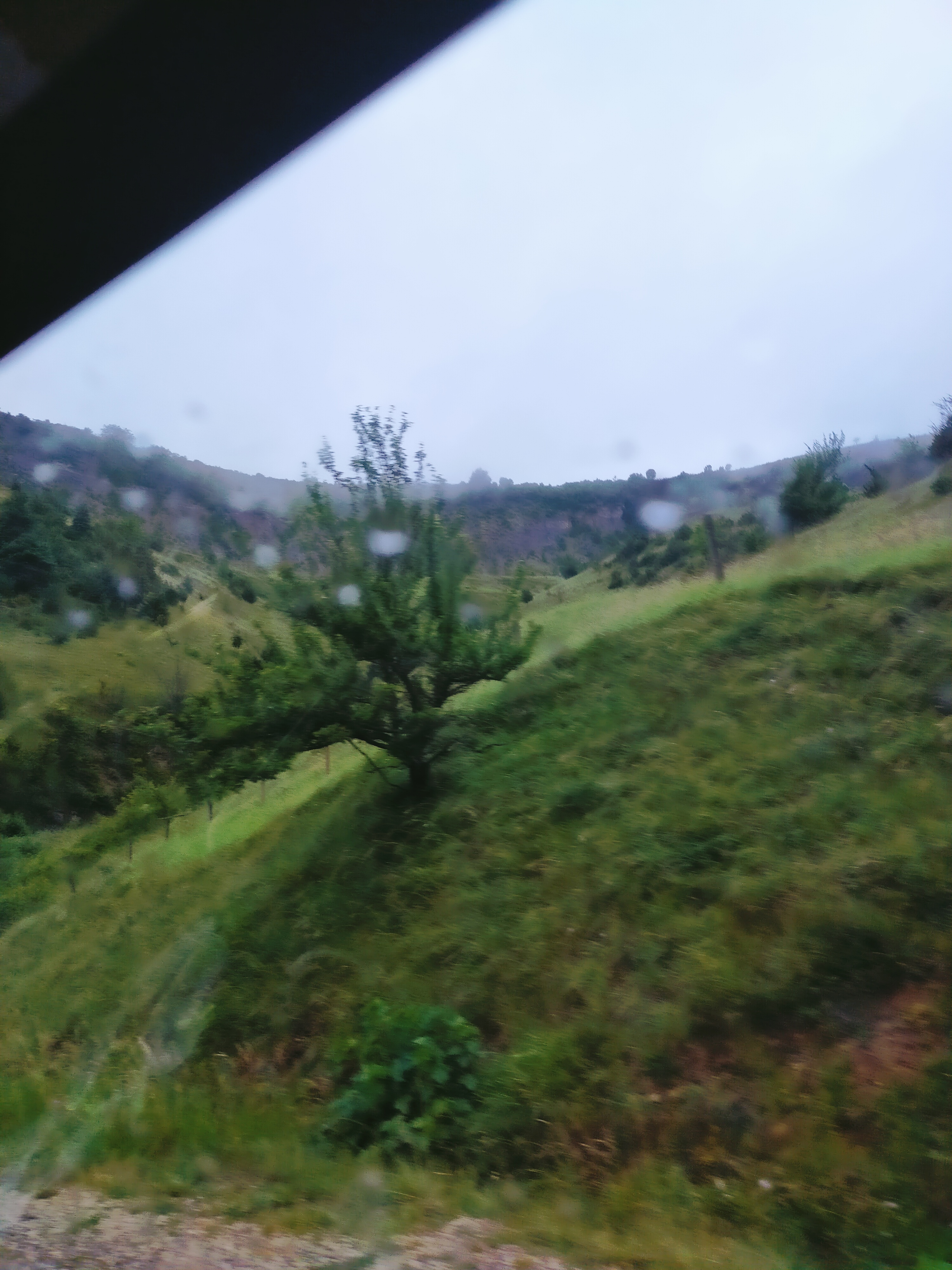 Photo n° 15 de l'avis de Domie.u fait le 15/07/2021 à 12:12