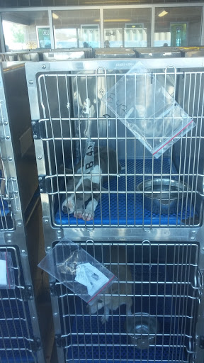 Animal Shelter «Humane Society of El Paso», reviews and photos