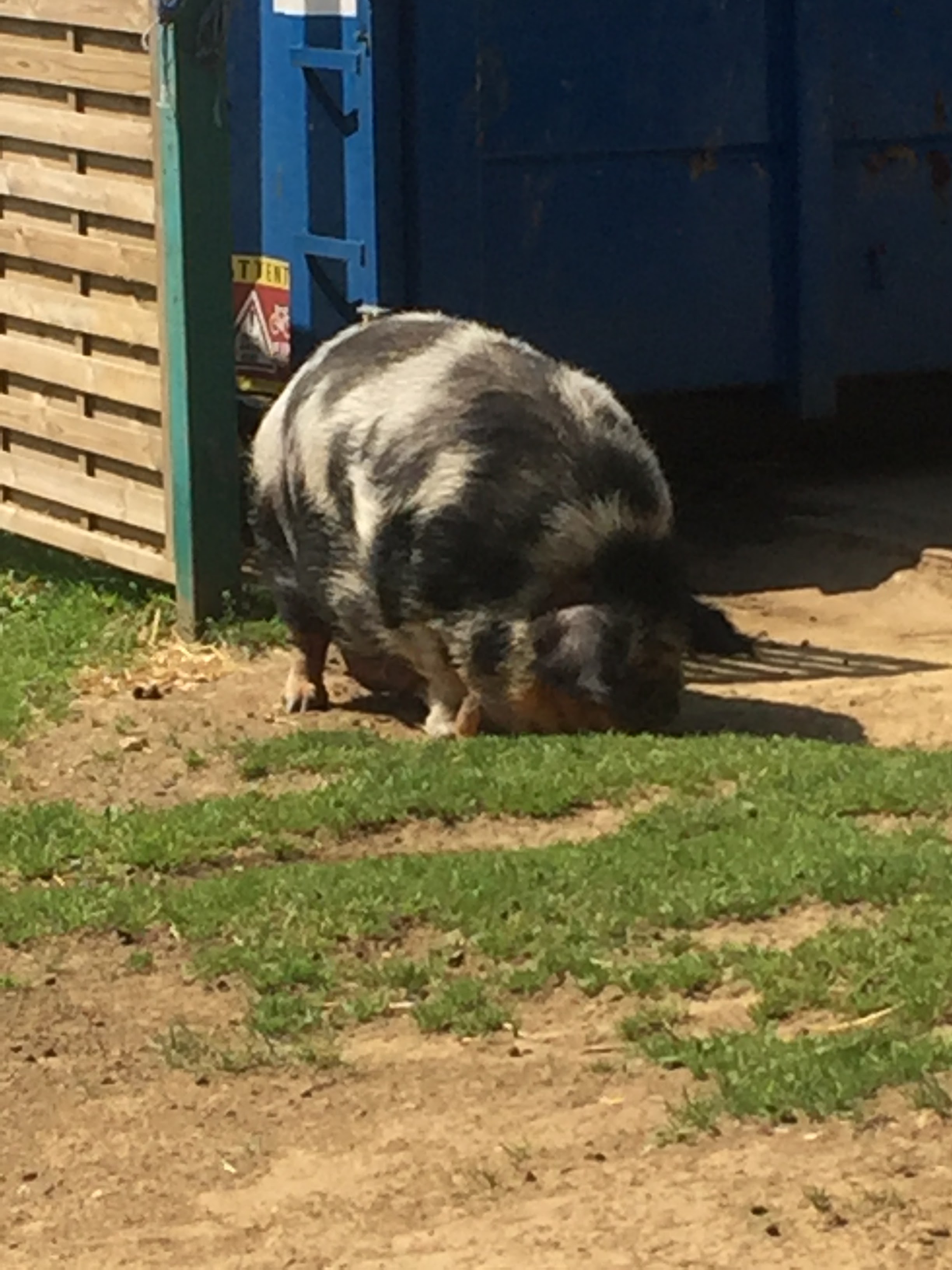 Photo n° 10 de l'avis de lou.o fait le 21/04/2018 à 14:21