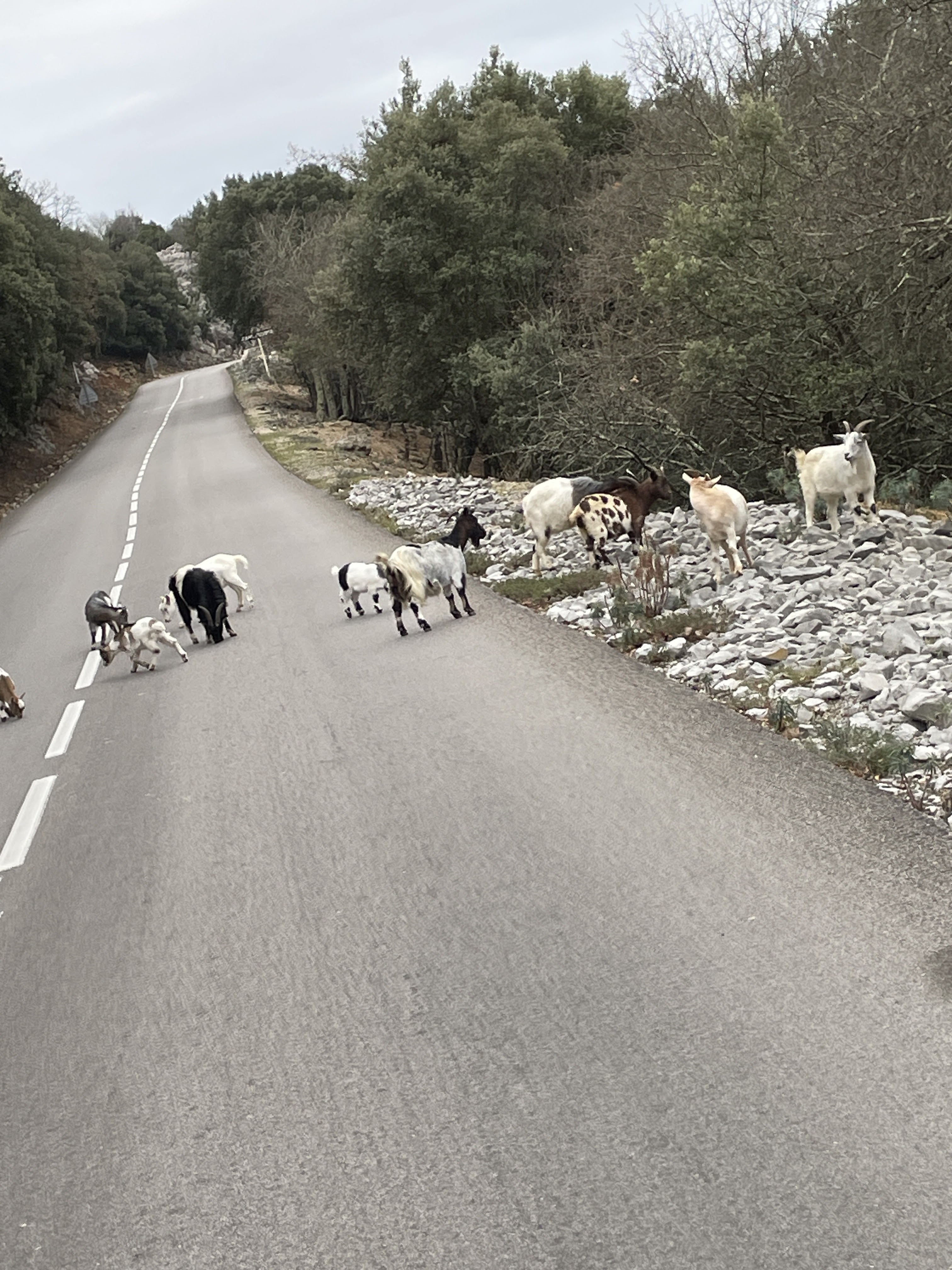 Photo n° 4 de l'avis de vanou.l fait le 30/12/2023 à 15:06
