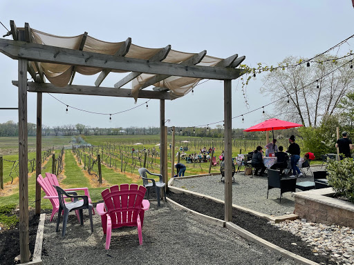 Vineyard «Iron Plow Vineyards», reviews and photos, 26750 Mt Pleasant Rd, Columbus, NJ 08022, USA