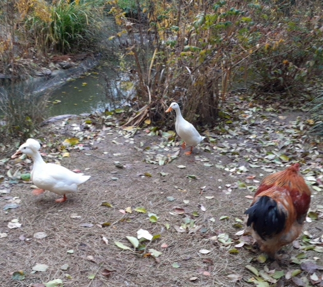 Photo n° 12 de l'avis de Doume. fait le 13/12/2019 à 18:34
