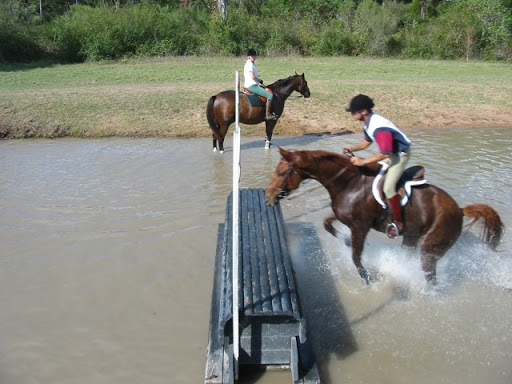 Equine International Stables