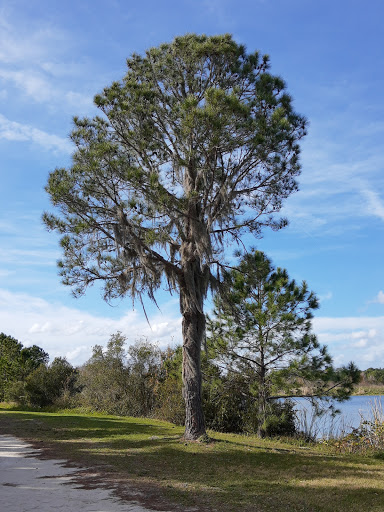 Recreation Center «Revolution Off Road», reviews and photos, 4000 FL-33, Clermont, FL 34714, USA