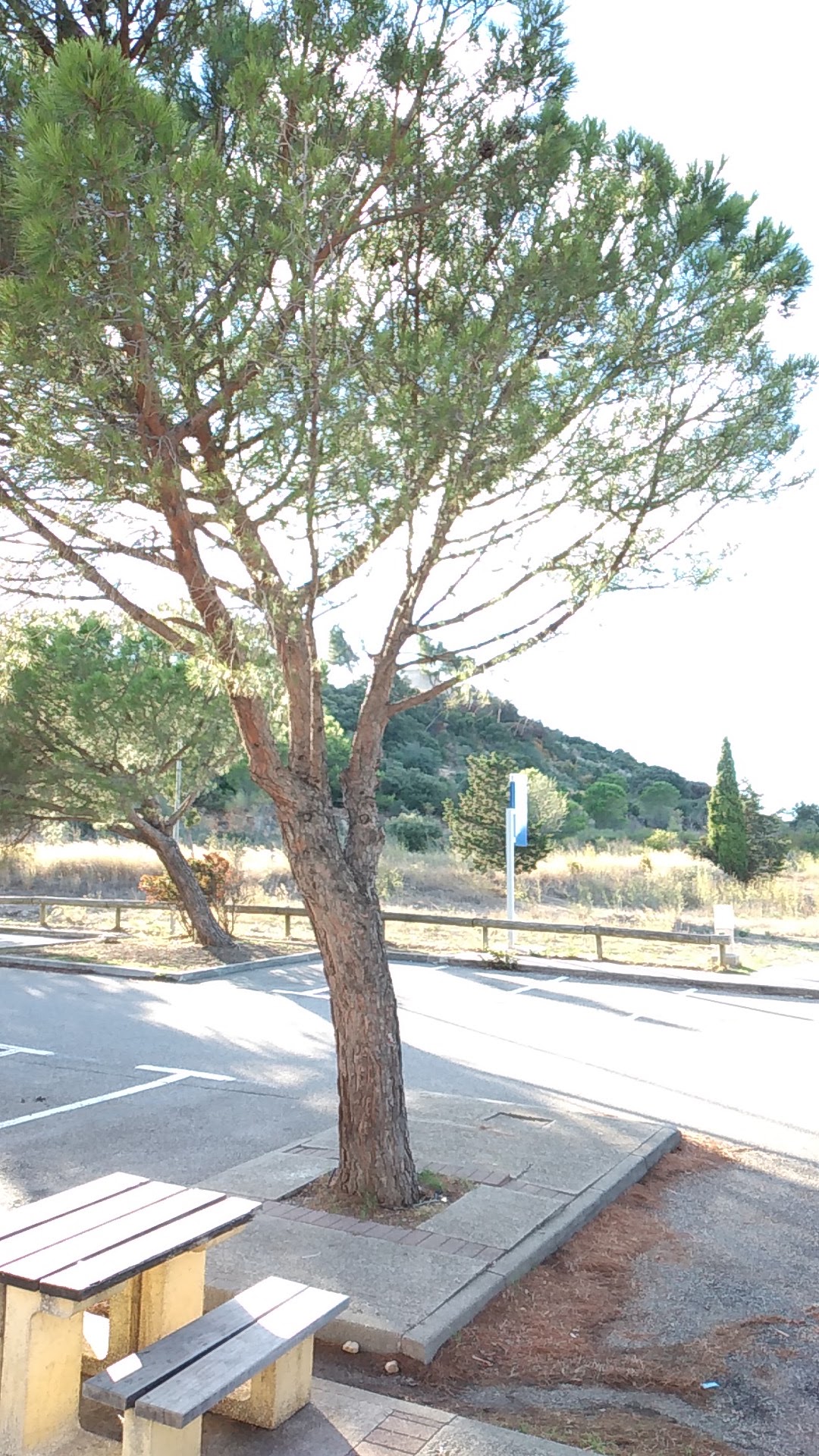 Photo n° 1 de l'avis de Dariusz.i fait le 09/09/2022 à 16:35