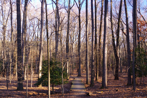 National Park «Greenbelt Park», reviews and photos, 6565 Greenbelt Rd, Greenbelt, MD 20770, USA