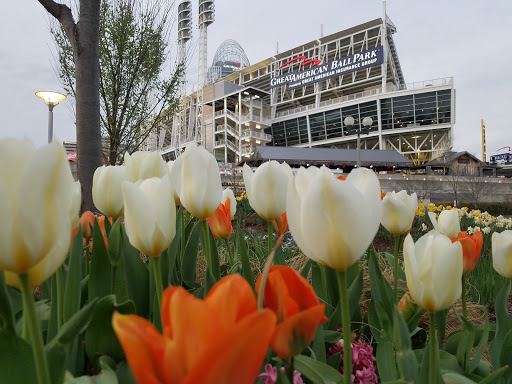 Stadium «Great American Ball Park», reviews and photos, 100 Joe Nuxhall Way, Cincinnati, OH 45202, USA