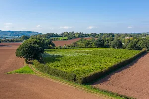 Astley Vineyard image