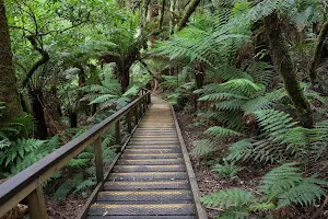 Great Otway National Park image