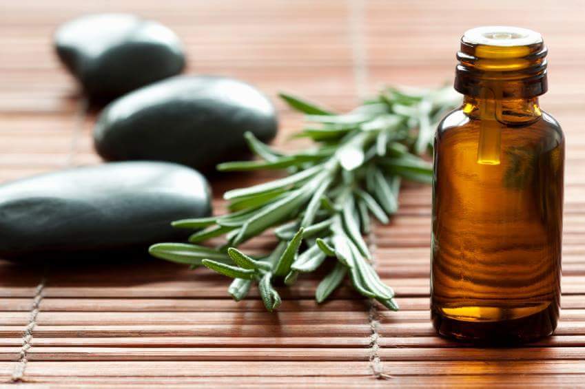 DM Massage and Wellness 60118