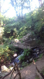 Photo n°17 de GLACE BE GOODIE ICE à Saint-Ybard ()