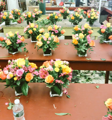 Florist «Exotic Flowers», reviews and photos, 609 American Legion Hwy, Boston, MA 02131, USA