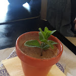 Photo n°1 de l'avis de Justin.r fait le 29/05/2019 à 17:53 sur le  Il Kalamaro locanda del mare à Palau