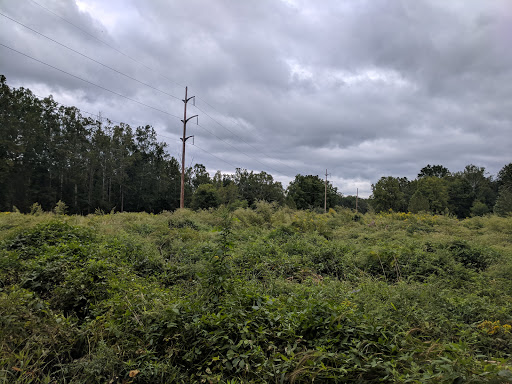 Nature Preserve «Sweedler and Thayer Preserves», reviews and photos, 10 Townline Rd, Ithaca, NY 14850, USA