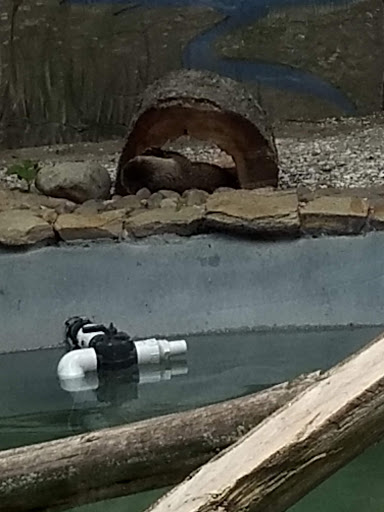 Zoo «Cape May County Park & Zoo», reviews and photos, 707 U.S. 9, Cape May Court House, NJ 08210, USA