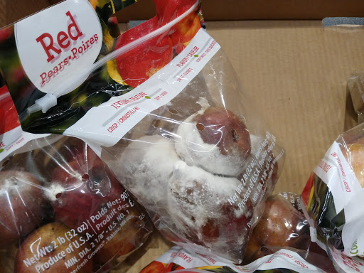 Supermarket «ALDI», reviews and photos, 244 Bloomfield Ave, Bloomfield, NJ 07003, USA