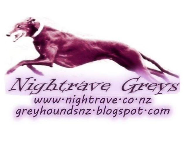 Reviews of Nightrave Greyhounds in Feilding - Dog trainer