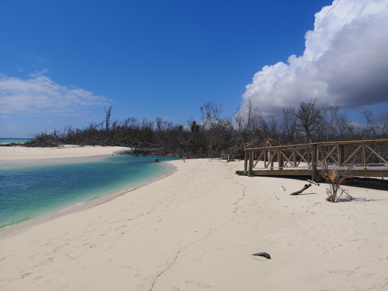 Gold Rock beach photo #8
