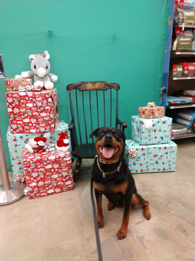 Pet Supply Store «Petco Animal Supplies», reviews and photos, 110 Charlton Rd #9, Sturbridge, MA 01566, USA