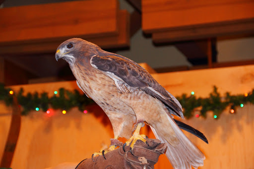 History Museum «Forest History Center», reviews and photos, 2609 Co Rd 76, Grand Rapids, MN 55744, USA