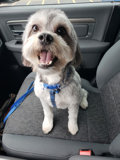 Pet Supply Store «PetSmart», reviews and photos, 976 IL-59, Aurora, IL 60504, USA