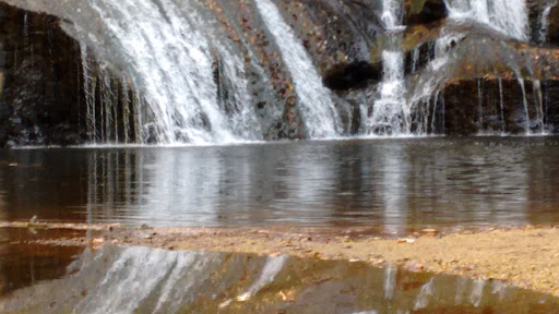 Museum «Dahlonega Gold Museum Historic Site», reviews and photos, 1 Public Square N, Dahlonega, GA 30533, USA