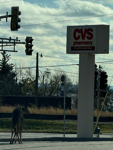 CVS