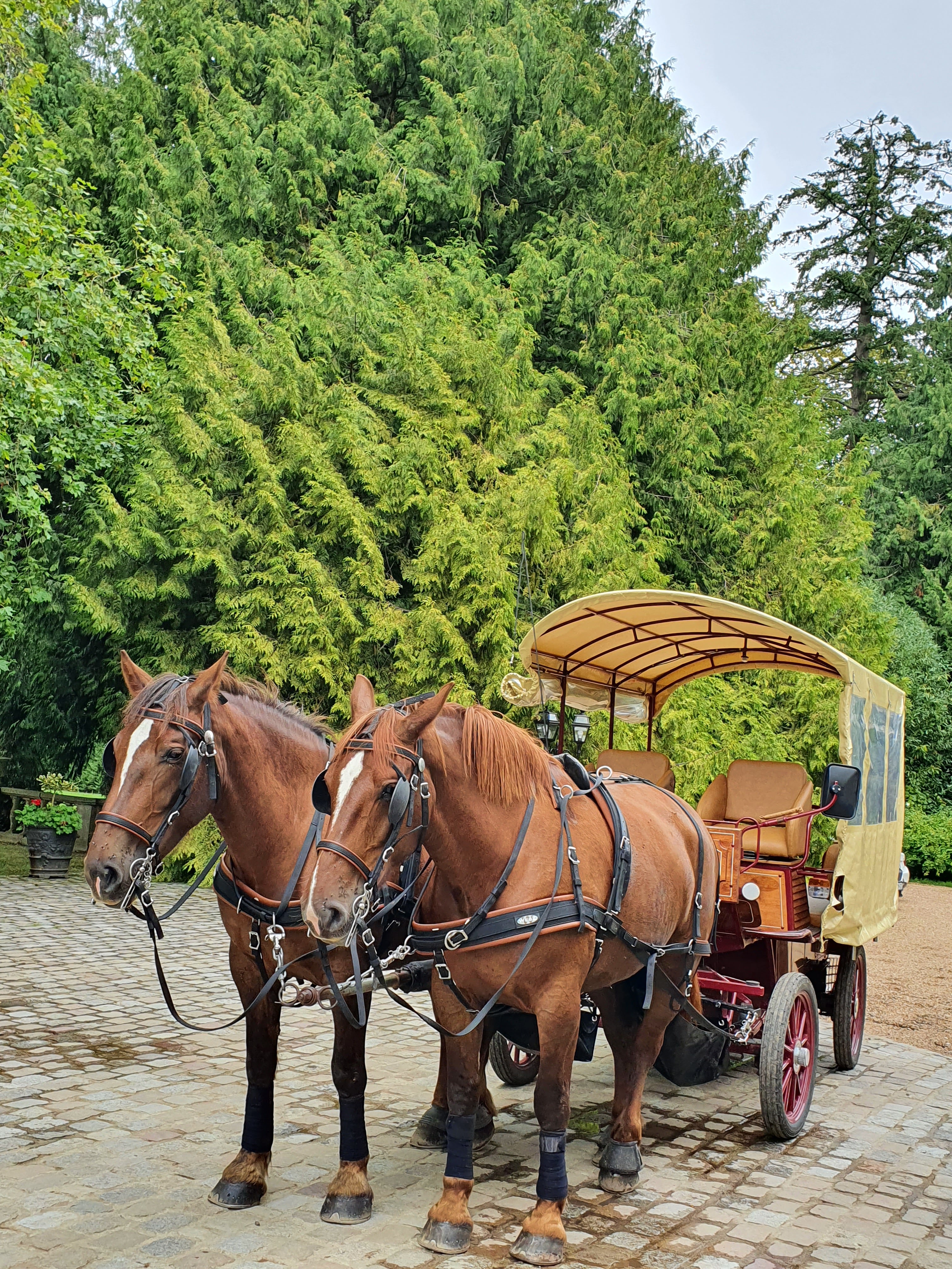 Photo n° 1 de l'avis de Beatrice.' fait le 19/08/2020 à 16:20