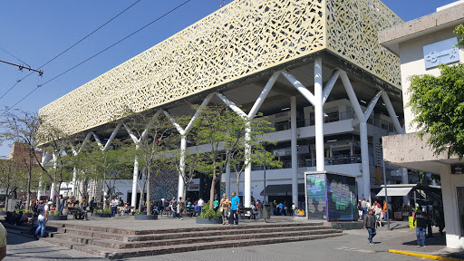 Boda civil Guadalajara