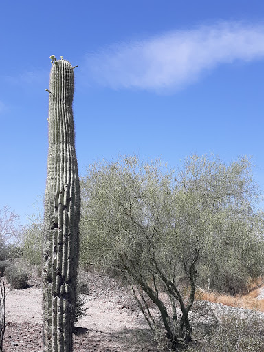 Tourist Attraction «Estrella Star Tower», reviews and photos, S Estrella Pkwy, Goodyear, AZ 85338, USA