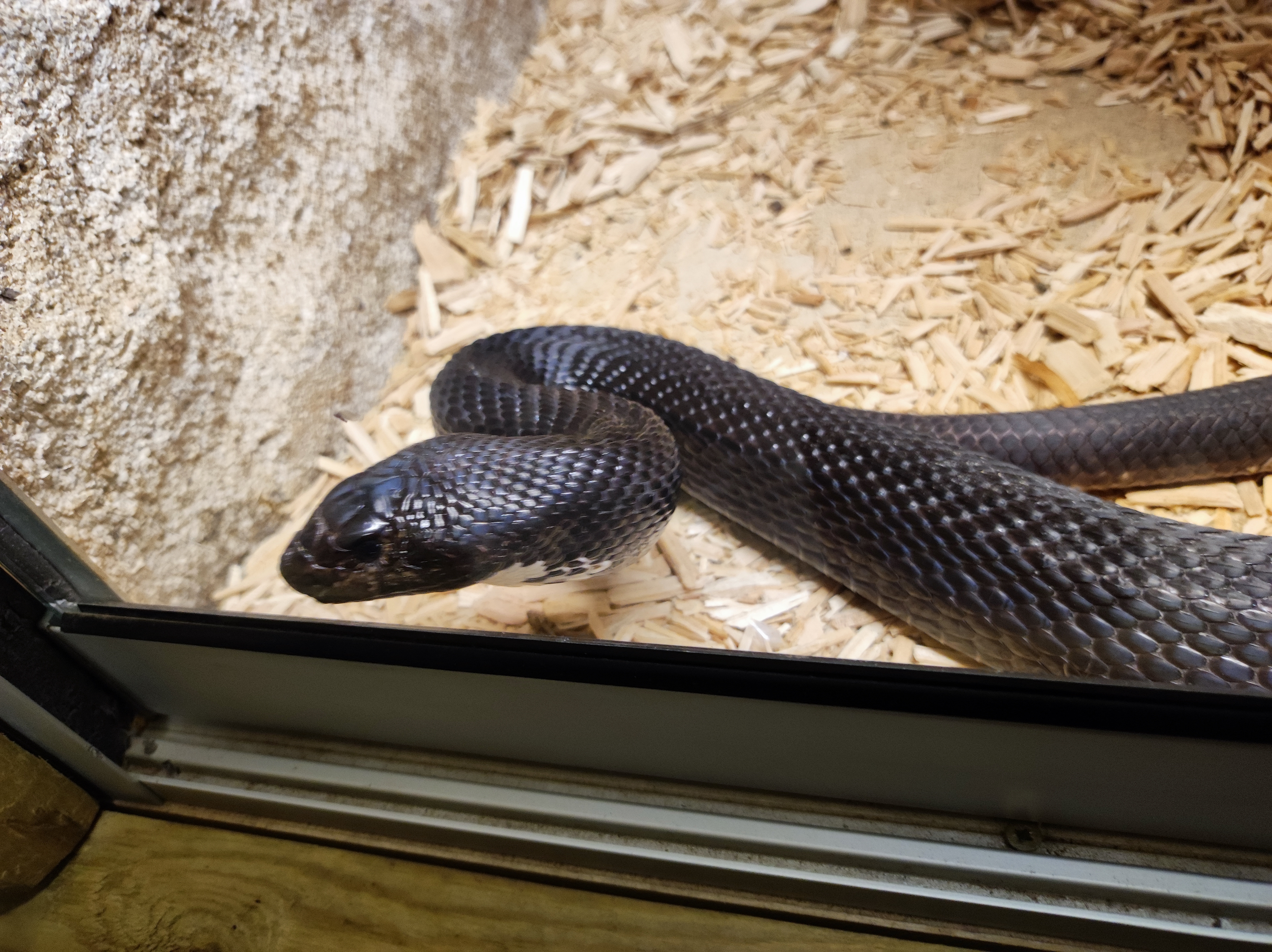 Photo n° 4 de l'avis de Kévin.u fait le 27/02/2023 à 19:47