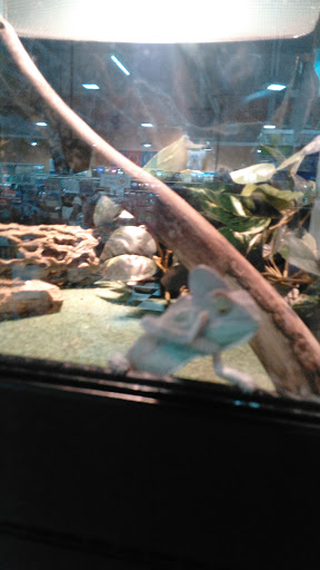 Pet Supply Store «Quality Pet Market», reviews and photos, 5543 Mahoning Ave, Austintown, OH 44515, USA