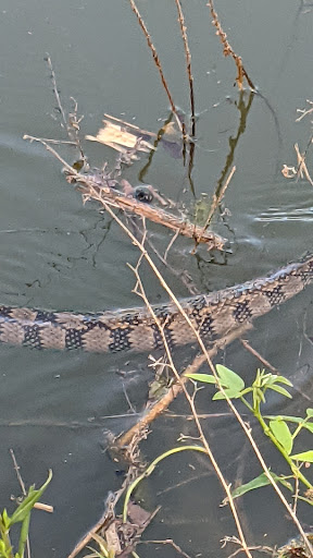 Event Venue «Lamar Dixon Expo Center», reviews and photos, 9039 S St Landry Ave, Gonzales, LA 70737, USA