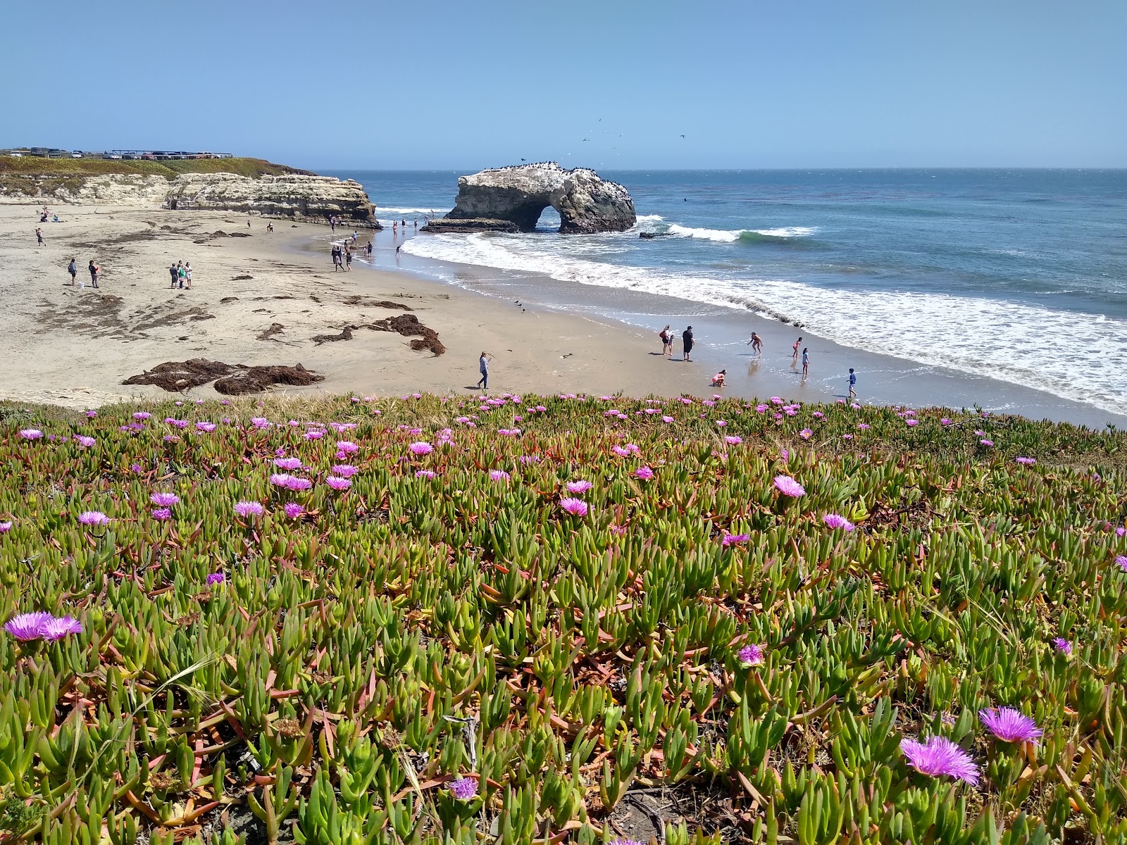 Photo of Natural Bridges Beach with bright sand surface