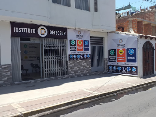DETECSUR