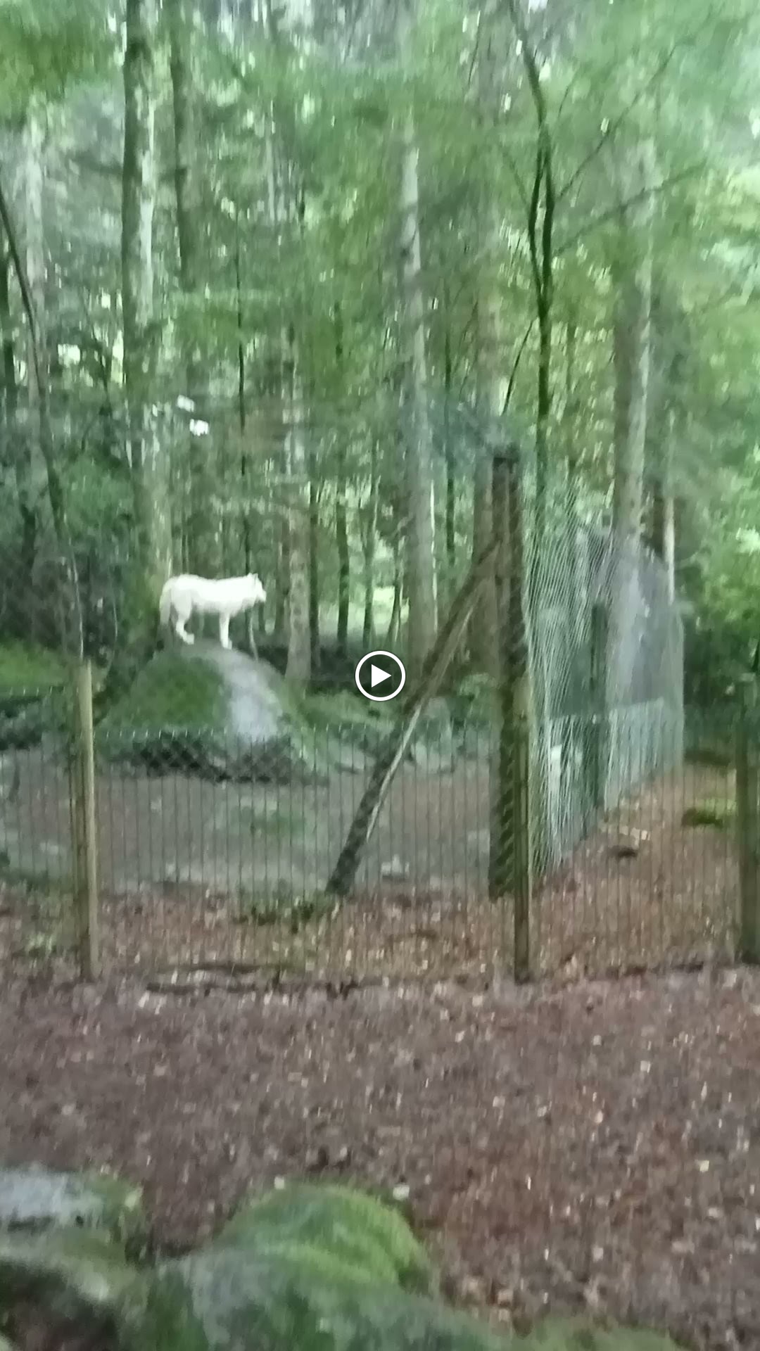 Photo n° 3 de l'avis de Brigitte.o fait le 11/08/2023 à 09:58