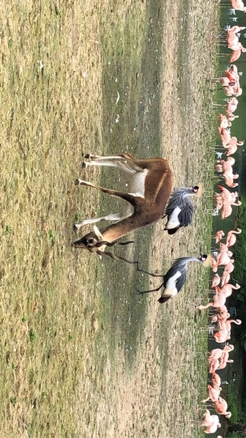 Photo n° 4 de l'avis de Caroline.e fait le 20/08/2021 à 15:40