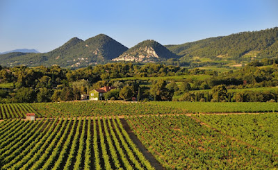 Domaine Saint Gayan à Gigondas