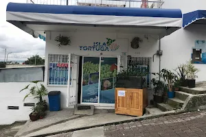 Acuario Isla Tortuga image
