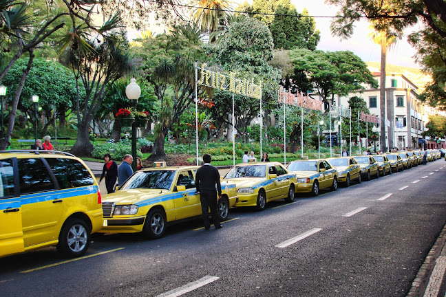 Taxis Jardim Municipal