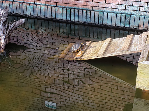 Aquarium «UGA Marine Education Center and Aquarium», reviews and photos, 30 Ocean Science Cir, Savannah, GA 31411, USA