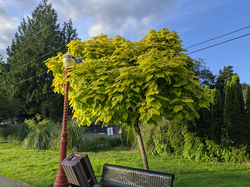 Community Center «Downtown Issaquah Association - Main Street Issaquah», reviews and photos, 232 Front St N, Issaquah, WA 98027, USA
