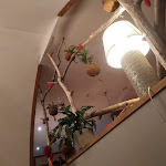 Photo n° 2 de l'avis de vanessa.i fait le 11/02/2023 à 21:04 pour Au Jardin d'Eden à Évian-les-Bains
