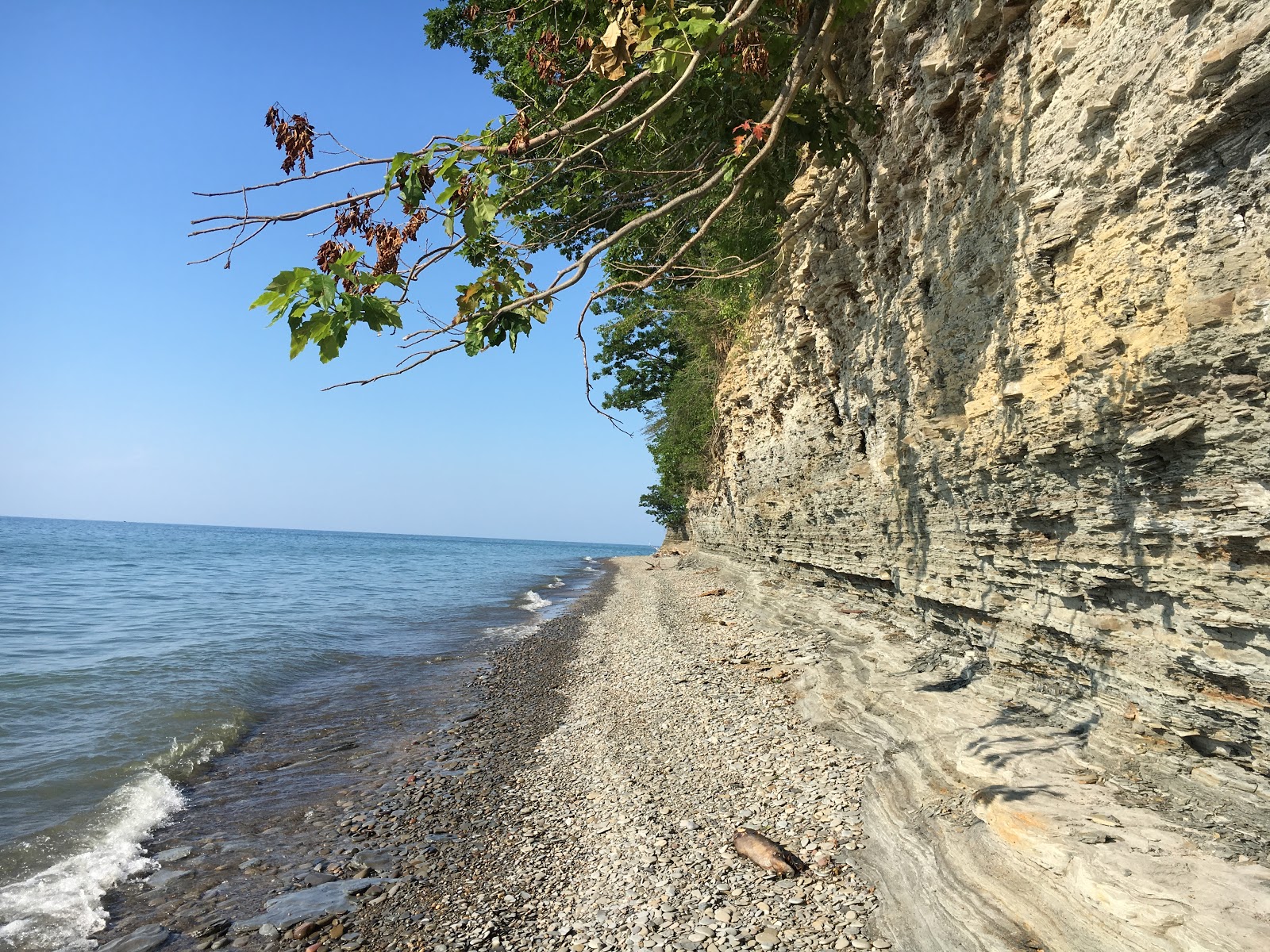 Foto von Ripley Beach mit graue kiesel Oberfläche
