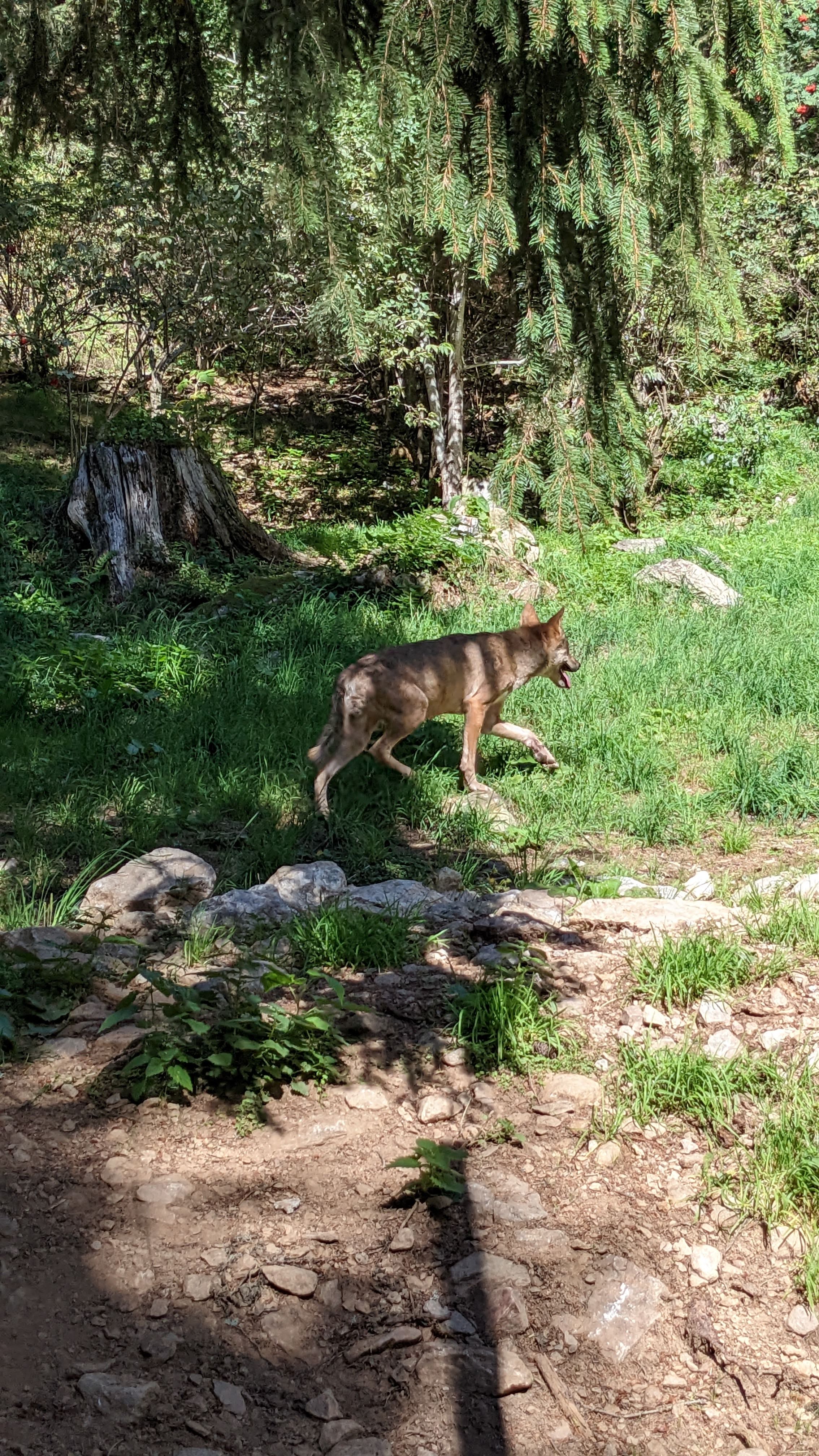 Photo n° 6 de l'avis de Florian.o fait le 11/09/2022 à 15:52