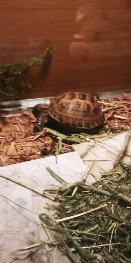 Pet Store «Pets World», reviews and photos, 147 Bridge St, Weymouth, MA 02191, USA